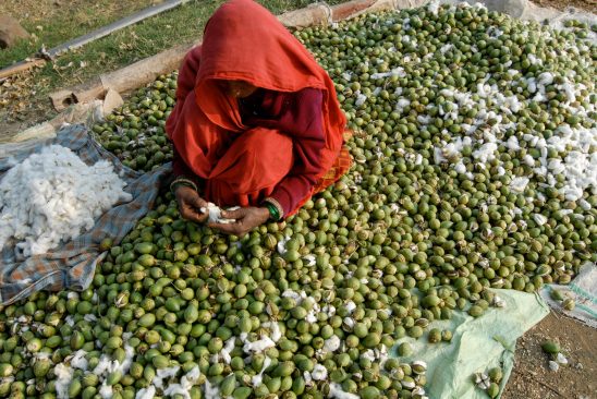 Photo credit: Joerg Boethling, Alamy Stock Photo