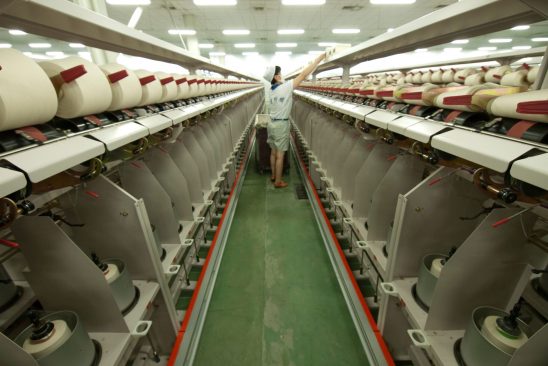 TAO Images Limited : Alamy Stock Photo